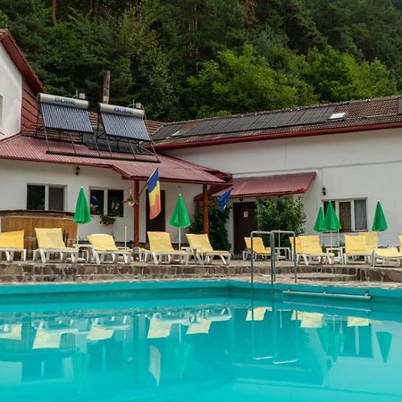 Pensiunea Alpin Paltinis Exterior foto