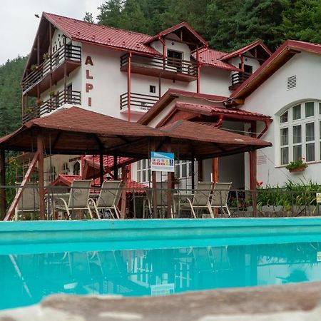 Pensiunea Alpin Paltinis Exterior foto