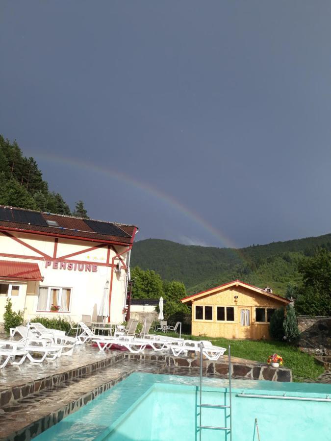 Pensiunea Alpin Paltinis Exterior foto
