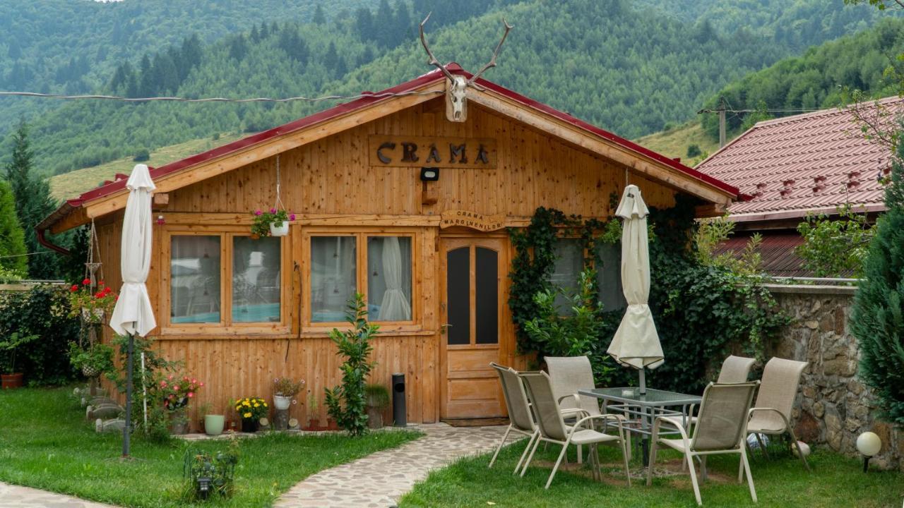 Pensiunea Alpin Paltinis Exterior foto