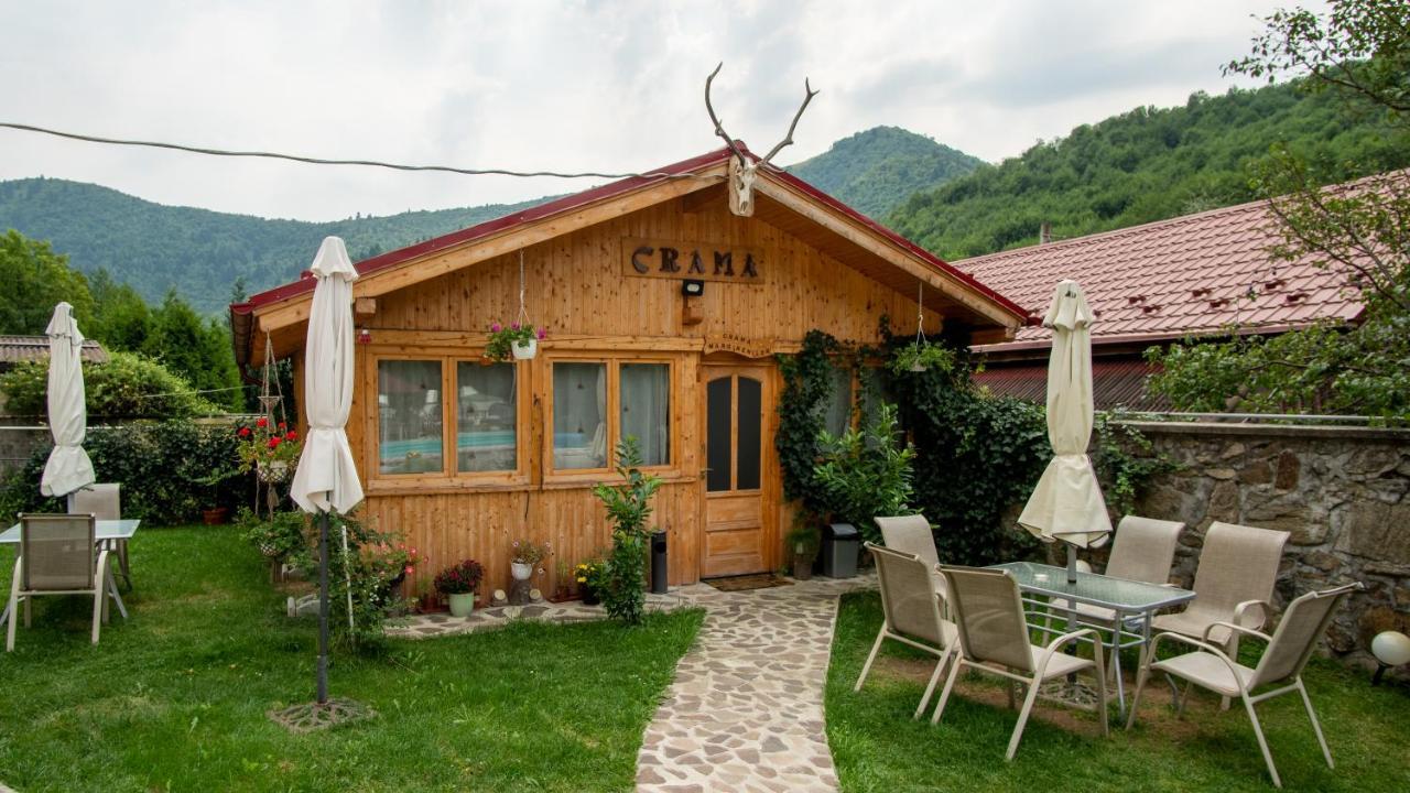 Pensiunea Alpin Paltinis Exterior foto