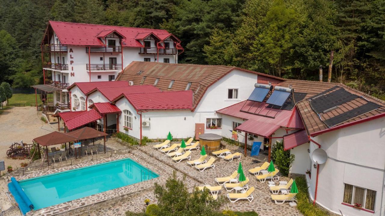 Pensiunea Alpin Paltinis Exterior foto
