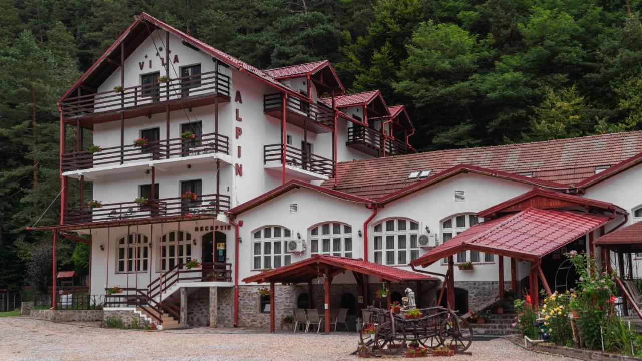 Pensiunea Alpin Paltinis Exterior foto