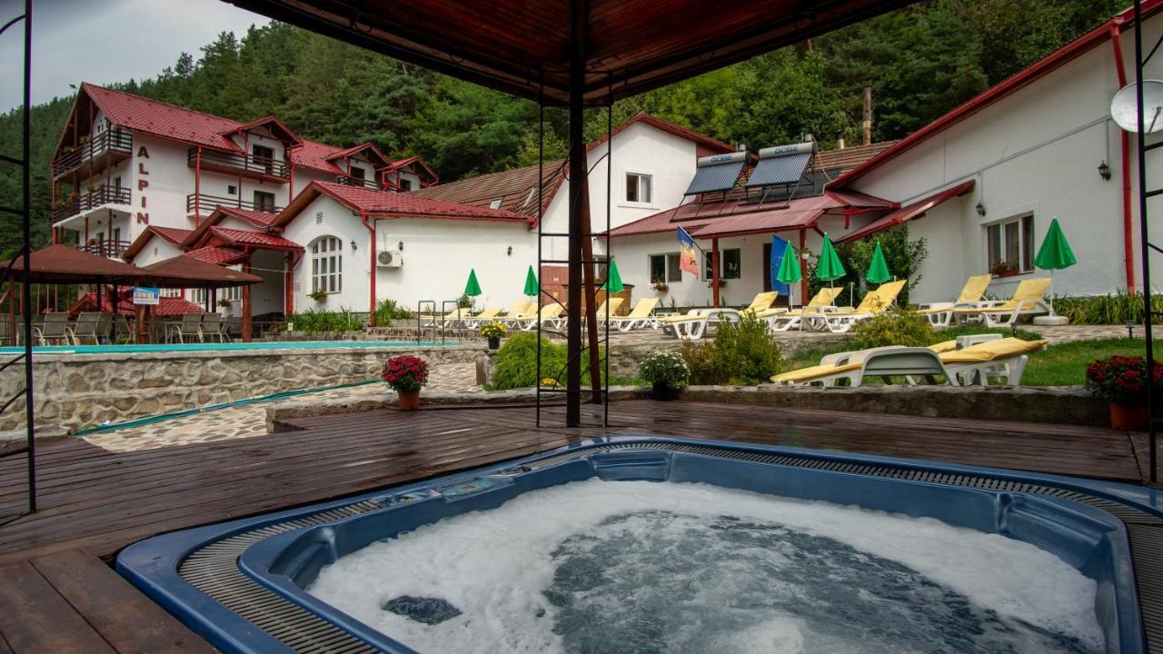 Pensiunea Alpin Paltinis Exterior foto