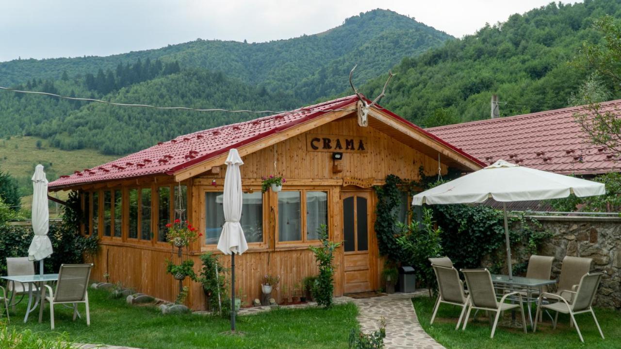 Pensiunea Alpin Paltinis Exterior foto
