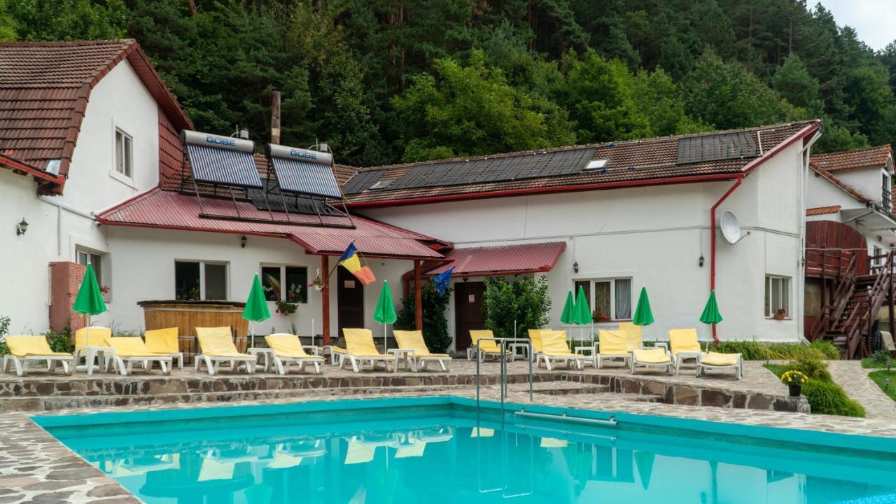 Pensiunea Alpin Paltinis Exterior foto