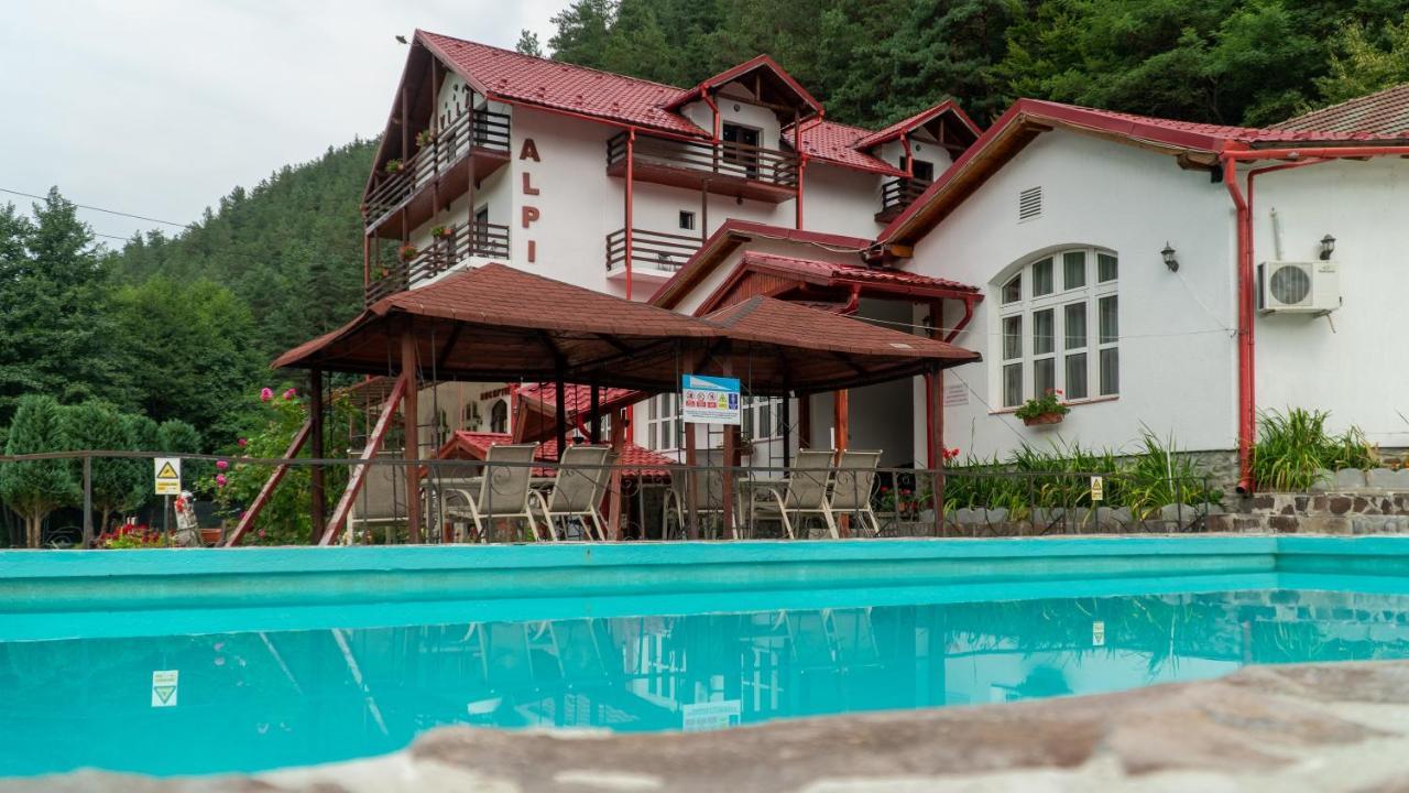 Pensiunea Alpin Paltinis Exterior foto