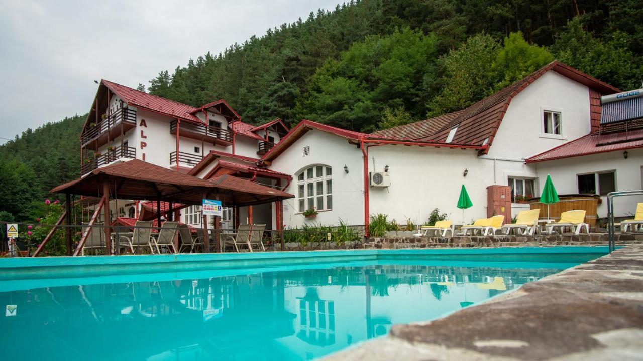 Pensiunea Alpin Paltinis Exterior foto