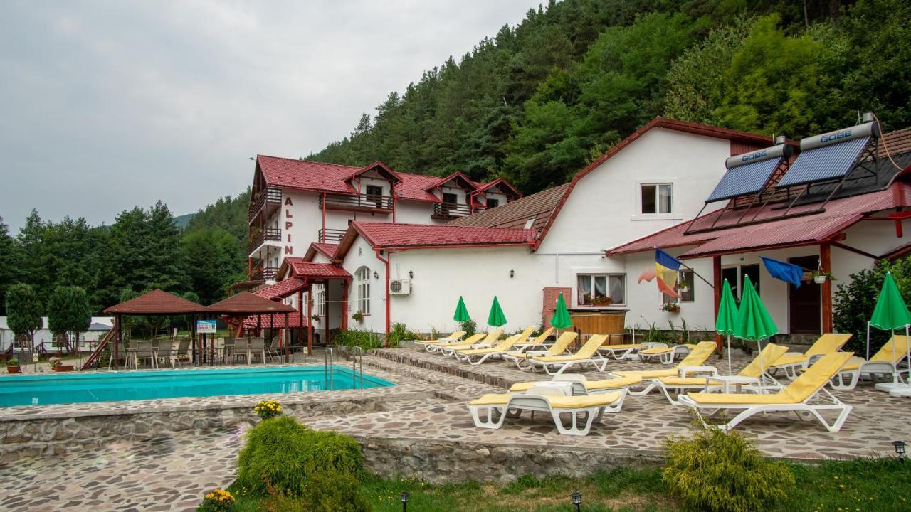 Pensiunea Alpin Paltinis Exterior foto