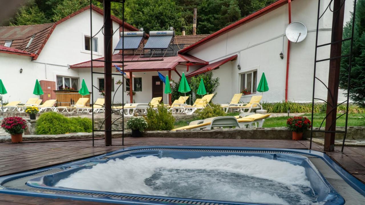 Pensiunea Alpin Paltinis Exterior foto
