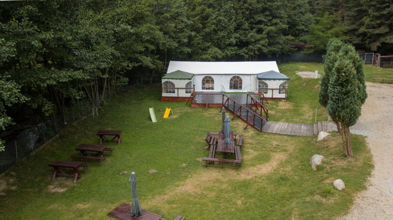 Pensiunea Alpin Paltinis Exterior foto