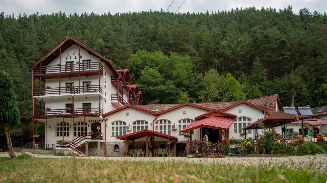 Pensiunea Alpin Paltinis Exterior foto