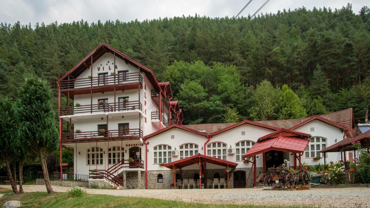 Pensiunea Alpin Paltinis Exterior foto