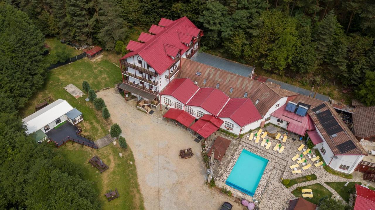 Pensiunea Alpin Paltinis Exterior foto