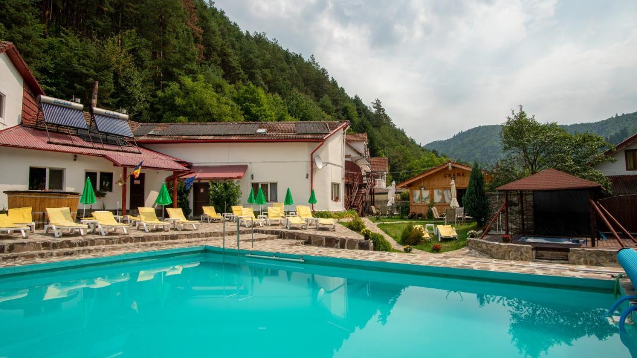Pensiunea Alpin Paltinis Exterior foto