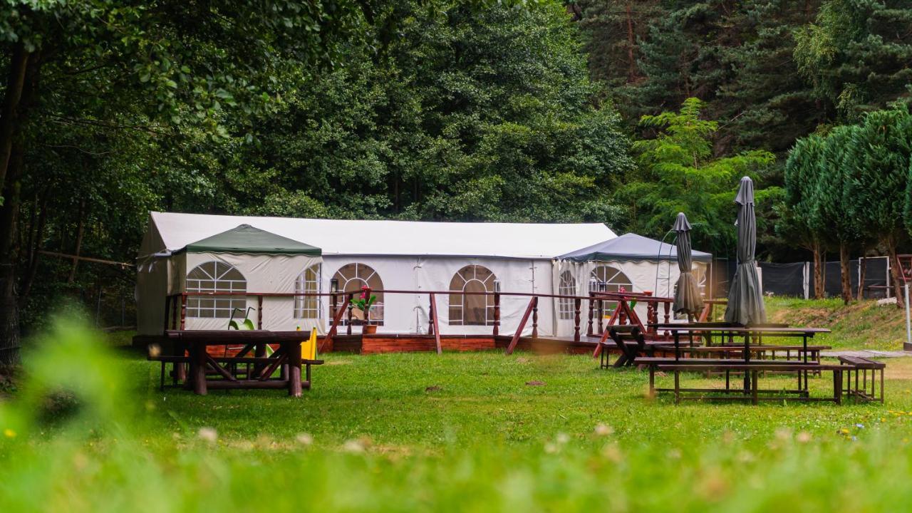 Pensiunea Alpin Paltinis Exterior foto