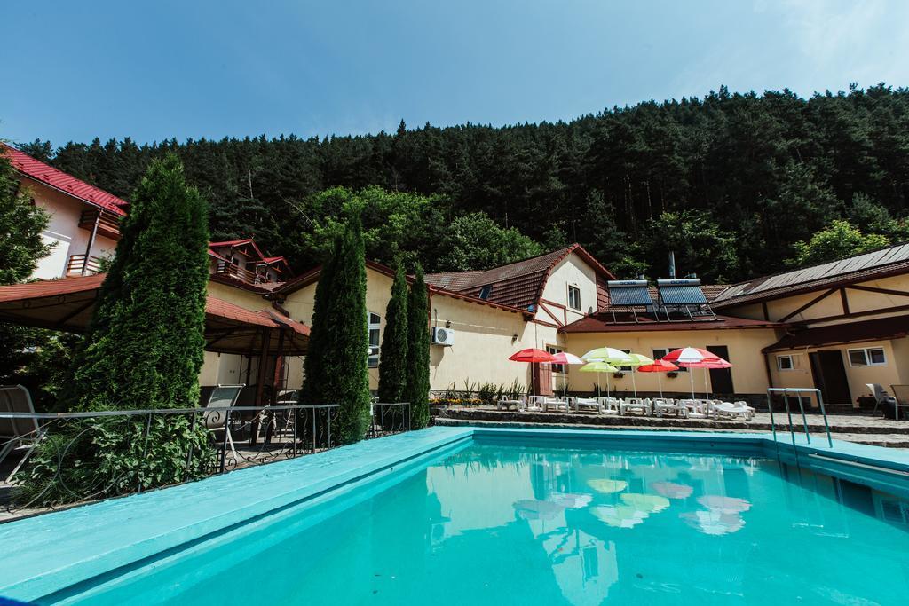 Pensiunea Alpin Paltinis Exterior foto